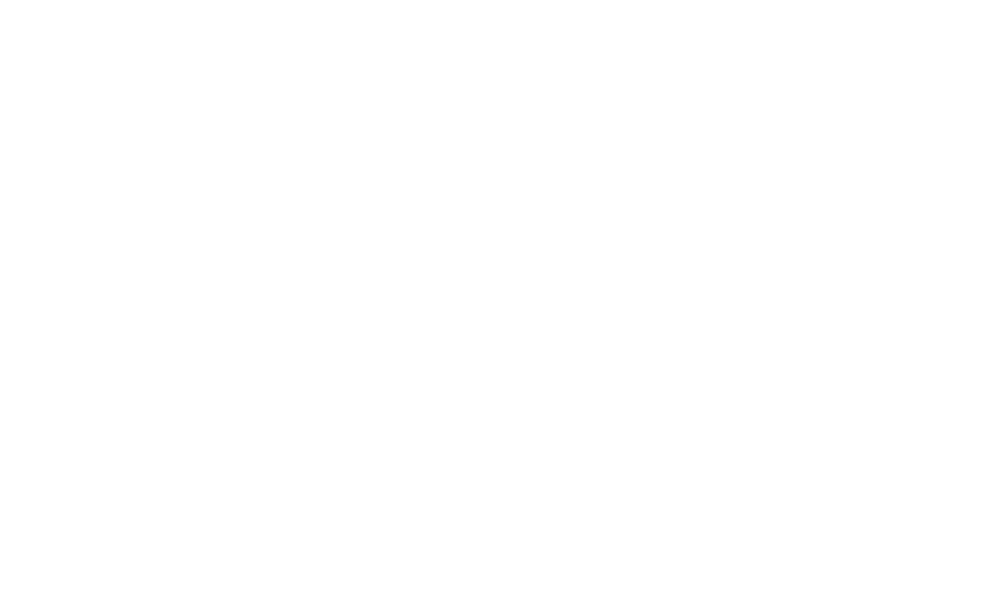 BGE Logo  White