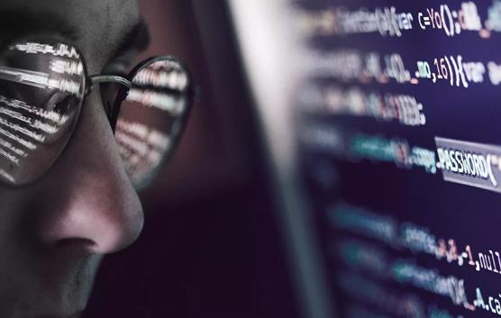 Man With Glasses Looking at Code